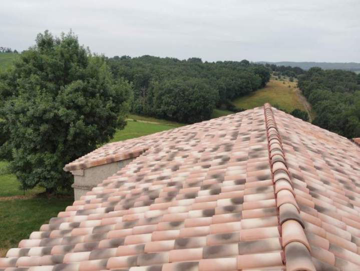 Remplacement de tuiles Graulhet